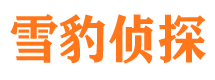 横县捉小三公司